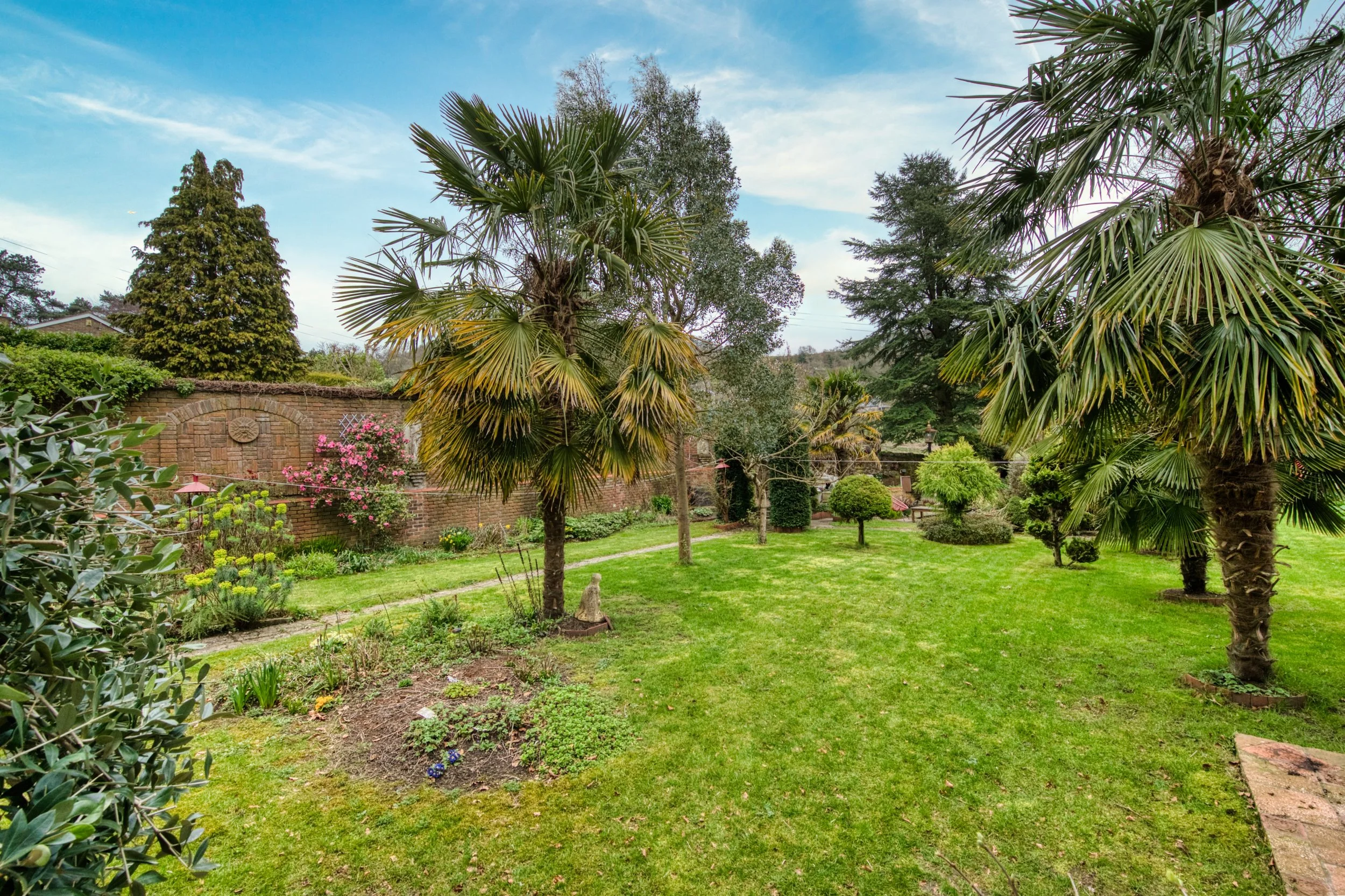 Garden - lawn and palm trees.jpg
