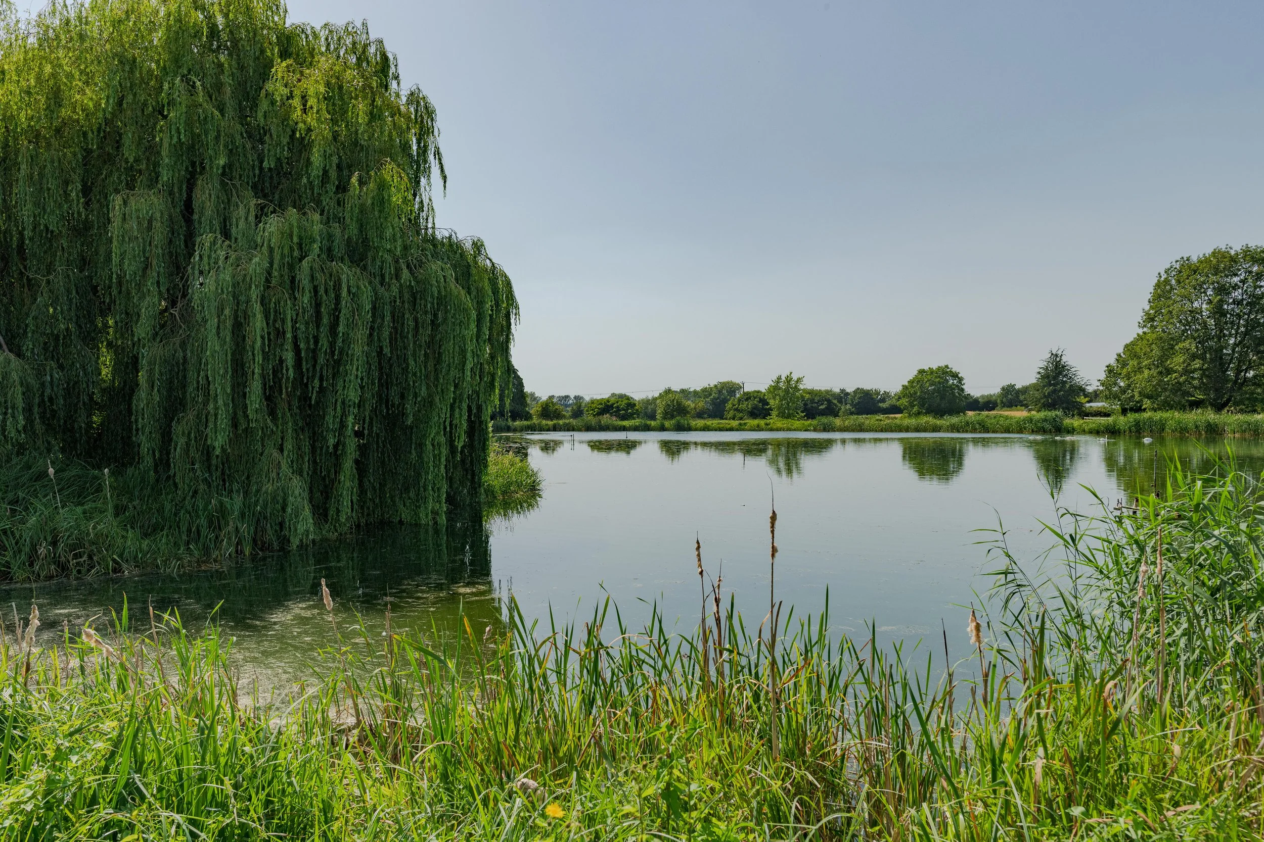 Springhill Fram - by CharlieGeaterPhotography 3995.jpg