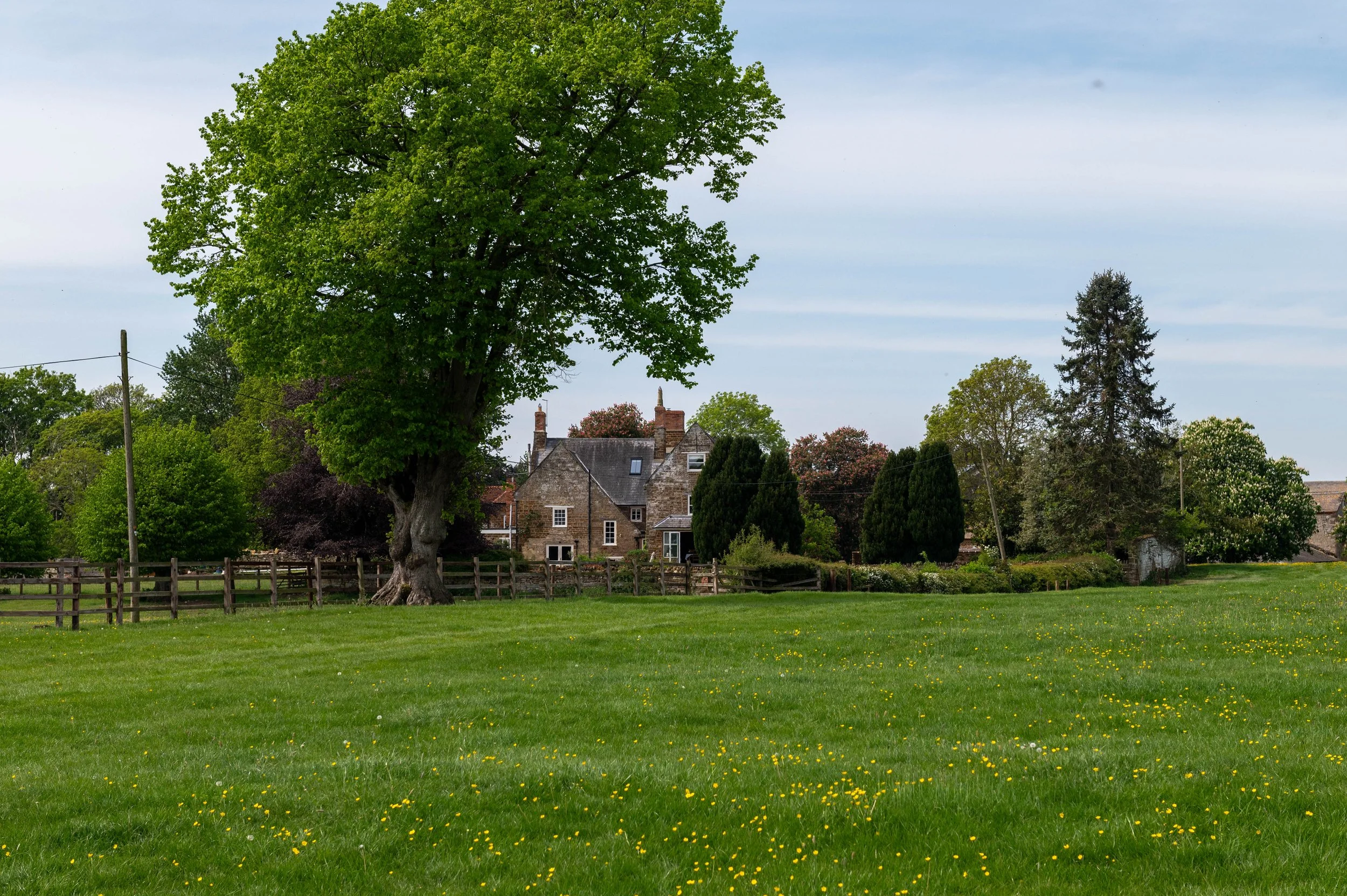 HandleyPF-342.jpg