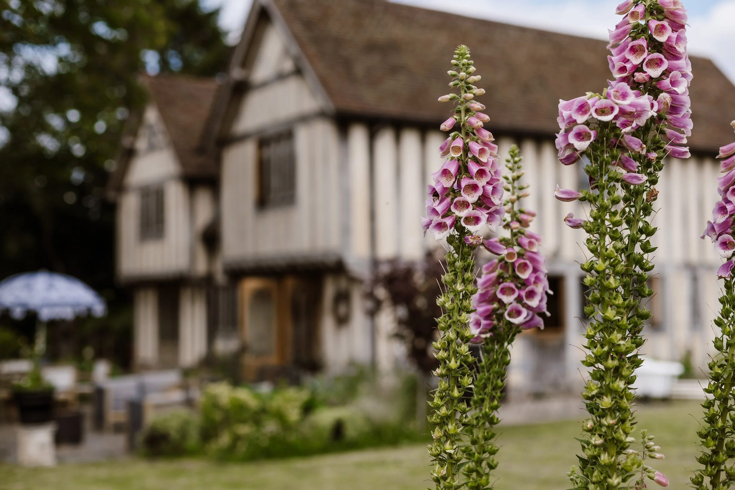 Timber House-185.jpg