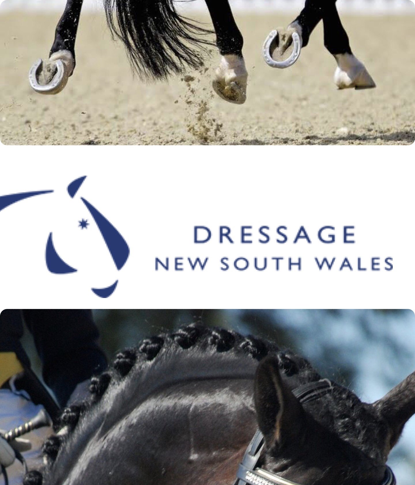 Competition Dates & Entries — Shoalhaven Dressage Club