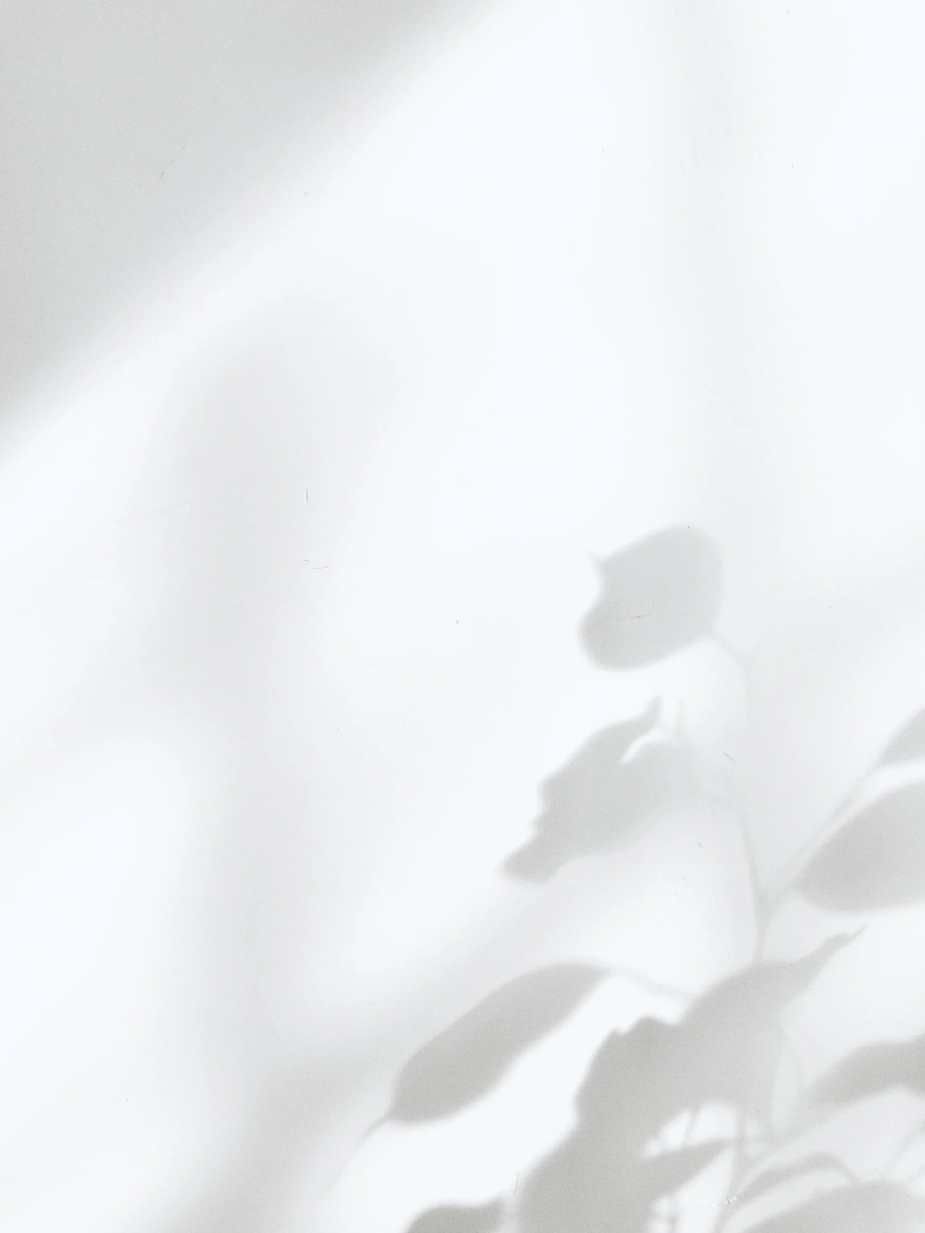 Fehlgeburt – was sagen?
