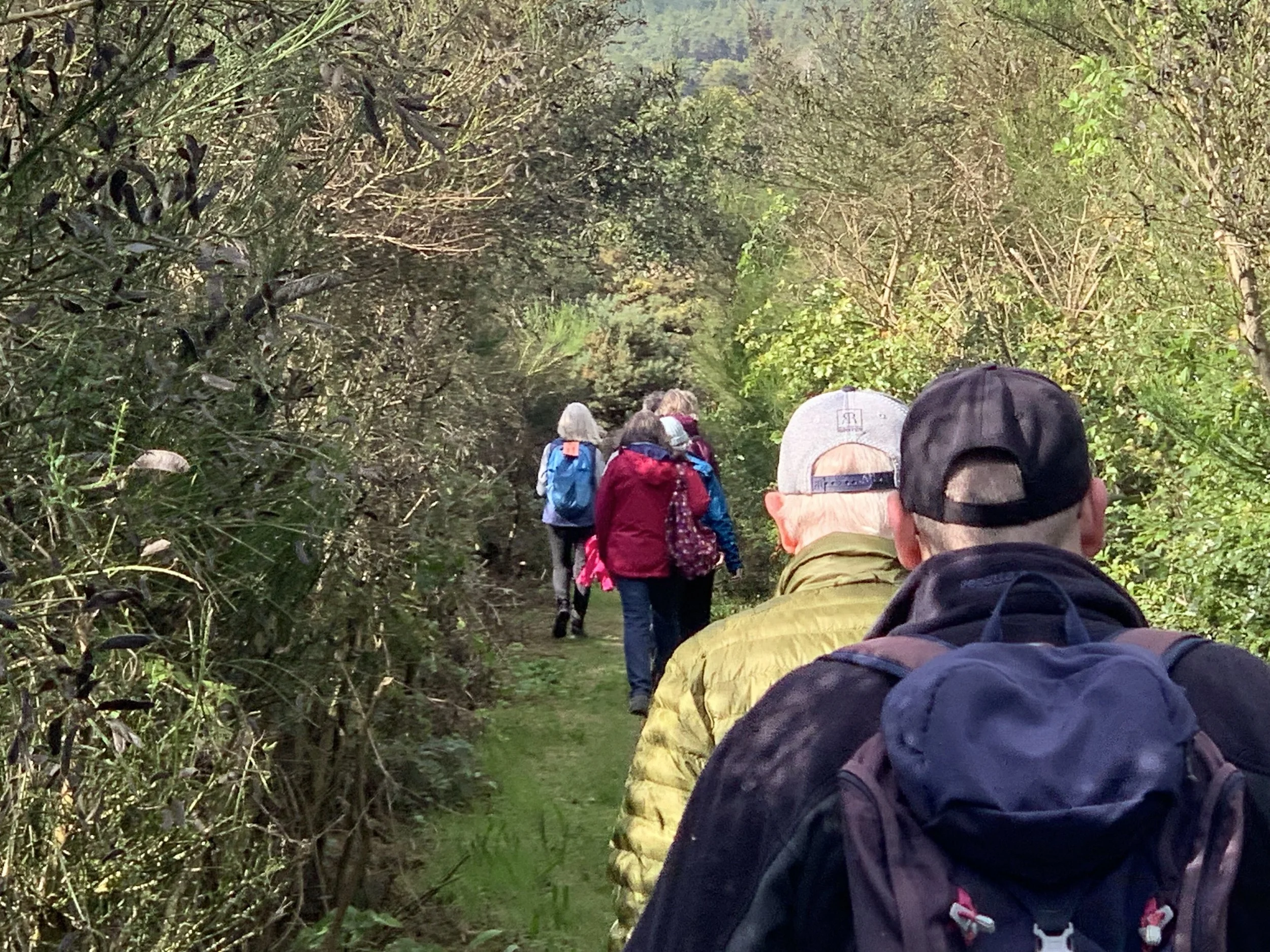 Botanics Health Walk - taster walk