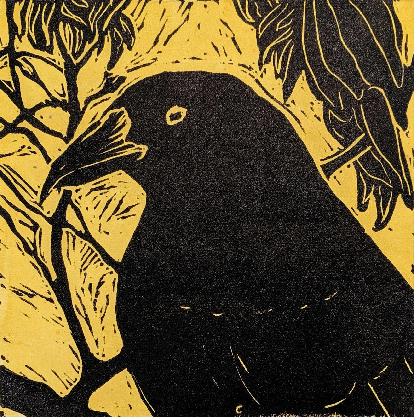Currawong Linocut.jpg