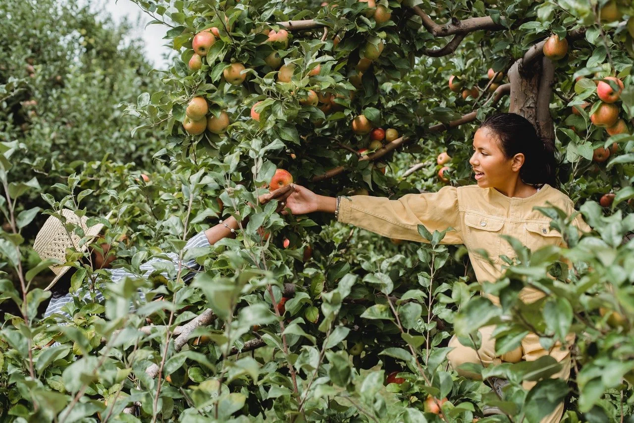 Ground Yourself Through Food and Nature