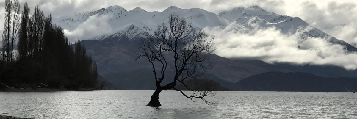 Finding Resiliency Through Winter Storm