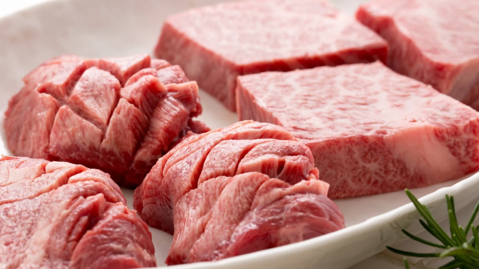 Best Breeds of Cattle for Meat