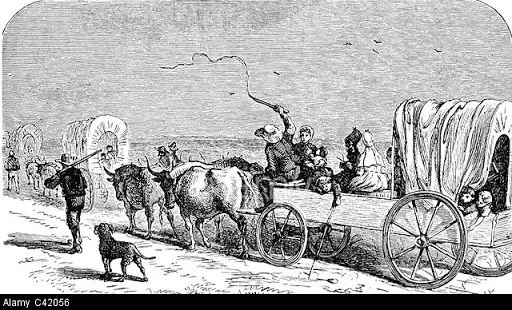 German Influence On Texan Culture