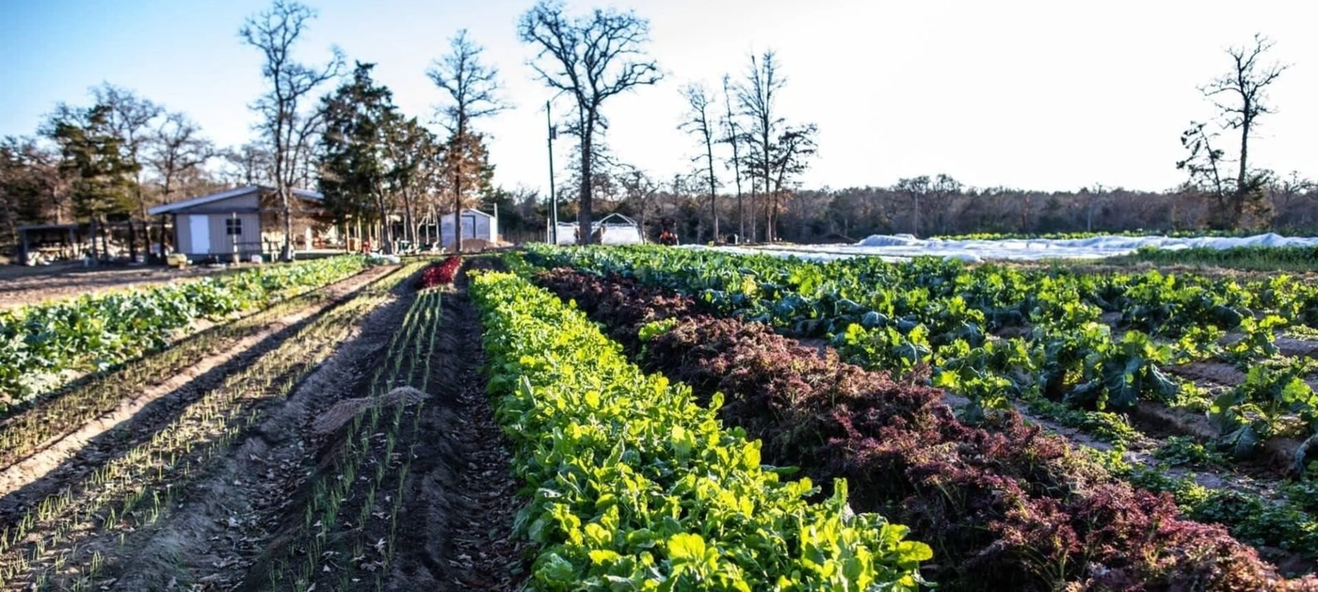 4 Best Farms &amp; Ranches Near Bastrop, Texas