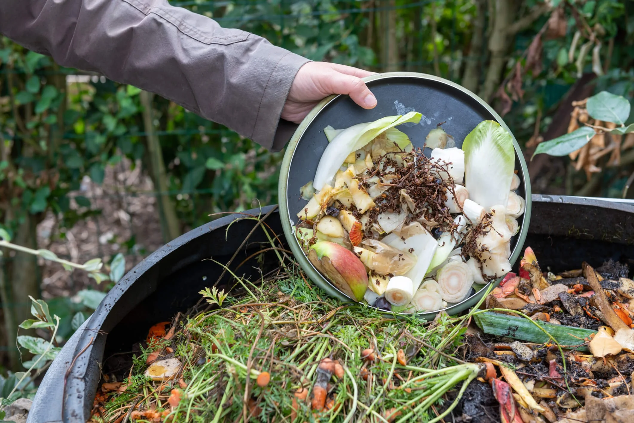 Why Should You Compost? — 7 Reasons To Do So