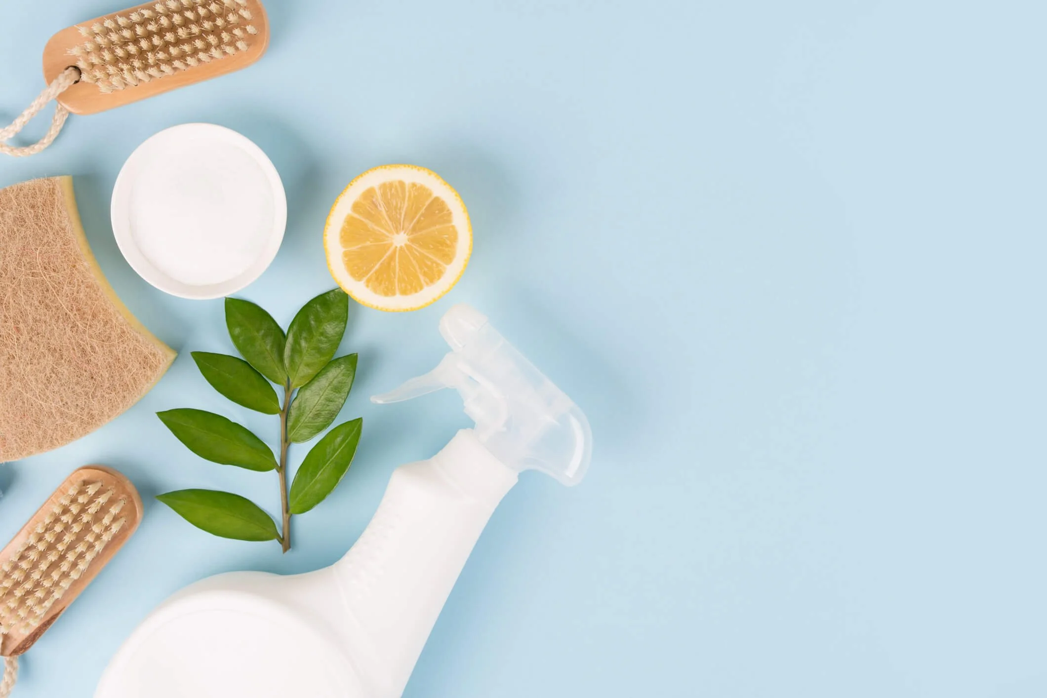 Safe and Sustainable Home Cleaning Alternatives | Texans Take Clean ...