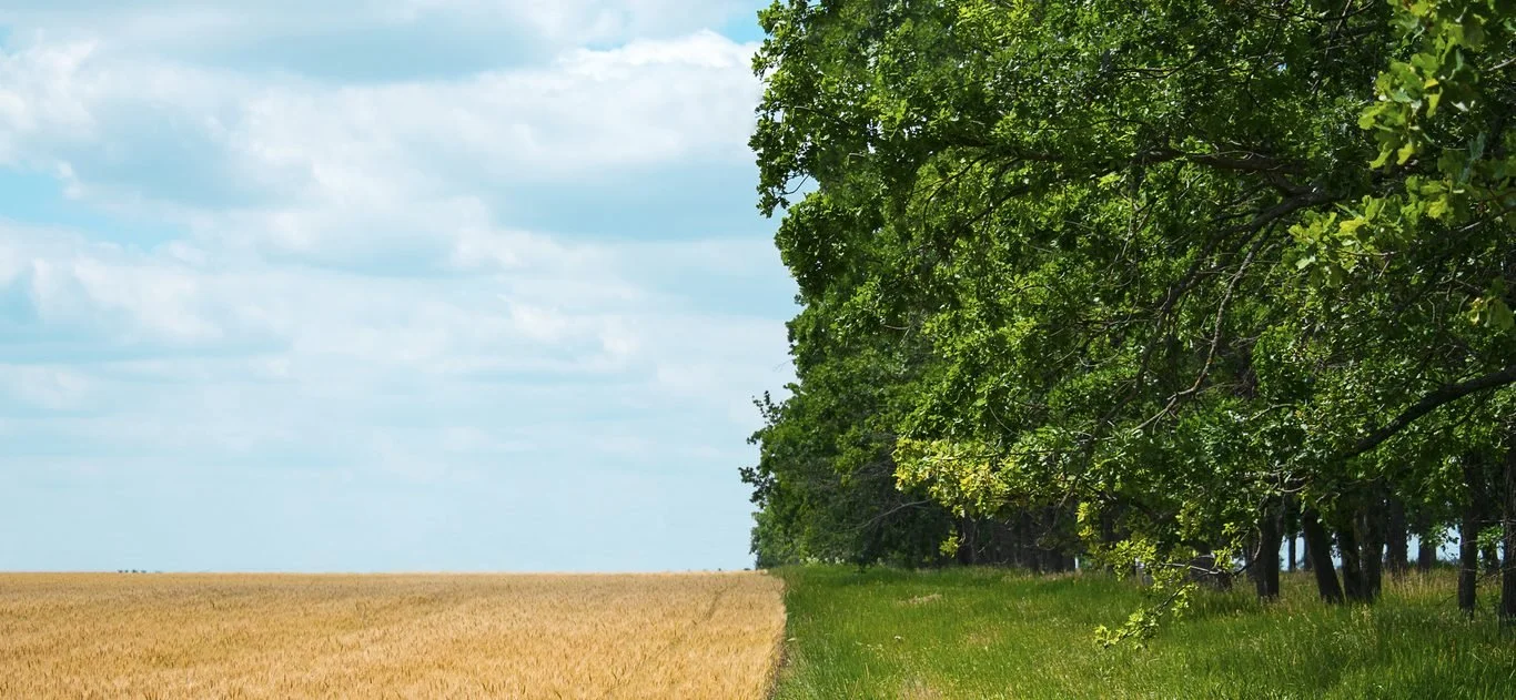 What is Regenerative Agriculture?