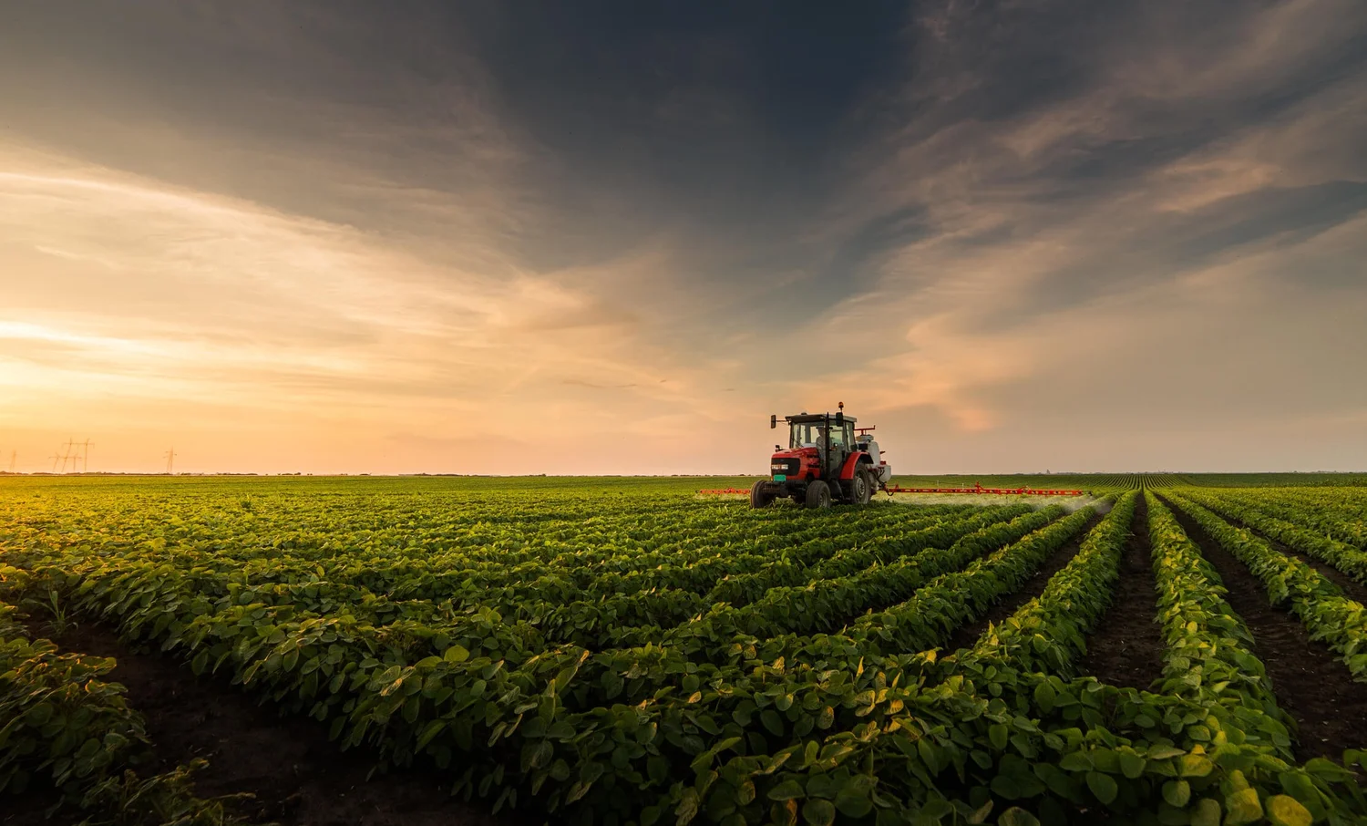 Getting to Know the Unheralded Heroes and Unique Farming Practices in ...