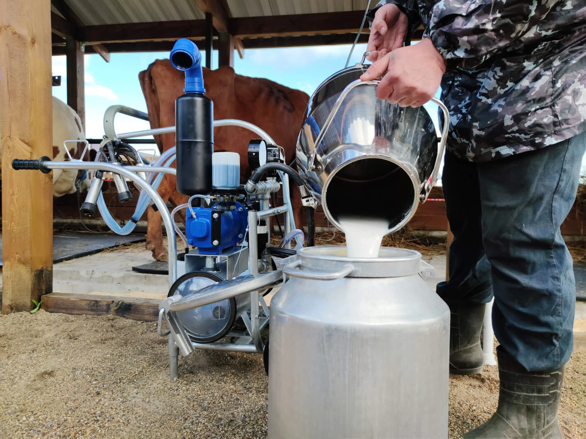 Raw Milk Health Risks The Ultimate Raw Milk Resource Guide: Everything You Need to Know