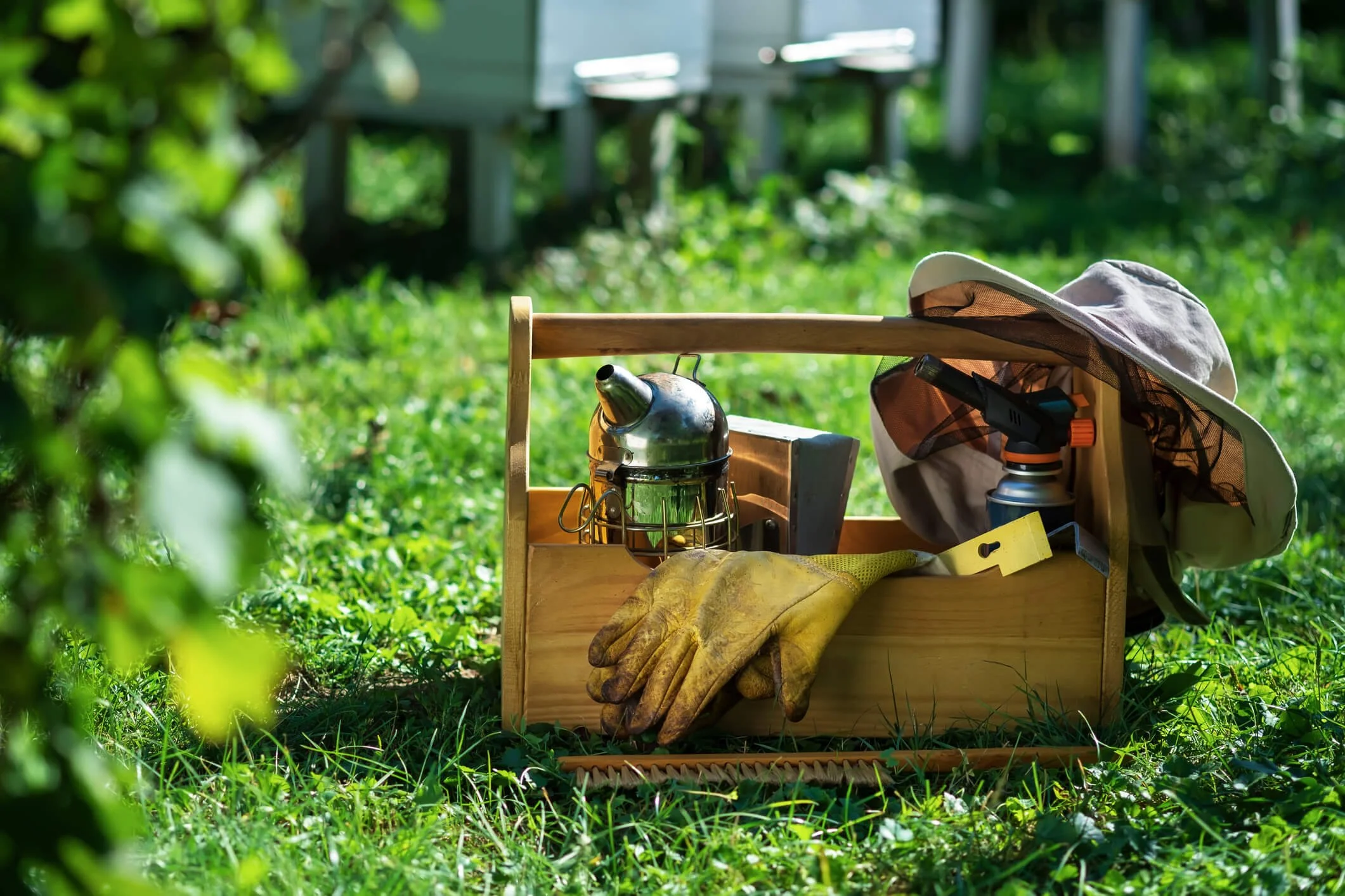 Essential Beekeeping Equipment