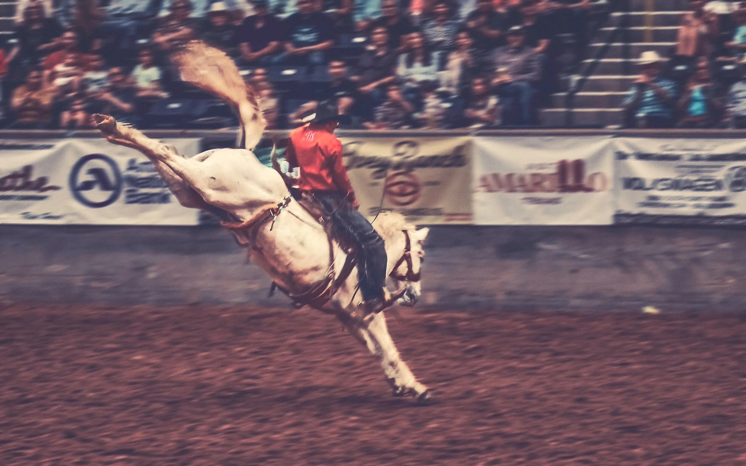 Discover the 10 Best Rodeos in Texas for an Cowboy Adventure