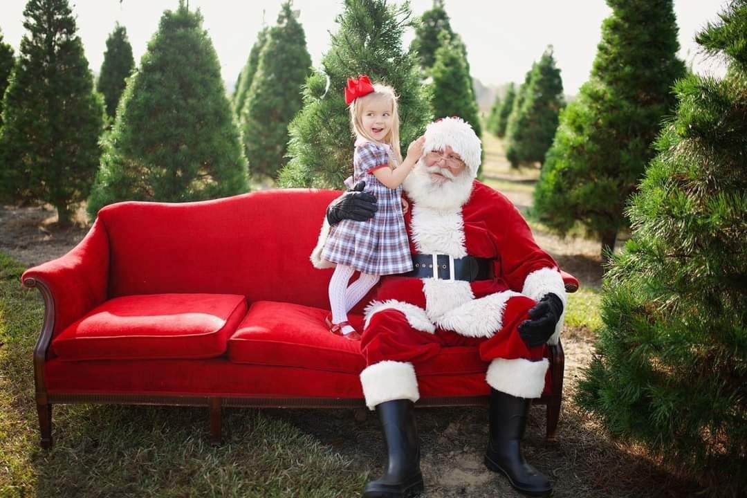 10 Best Christmas Tree Farms in Texas A Guide for the Holidays