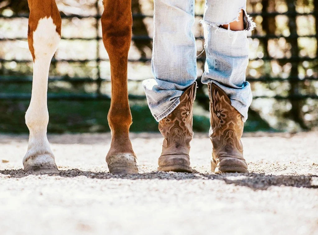 Farmer's Footprint: Forging a Path to Food Independence