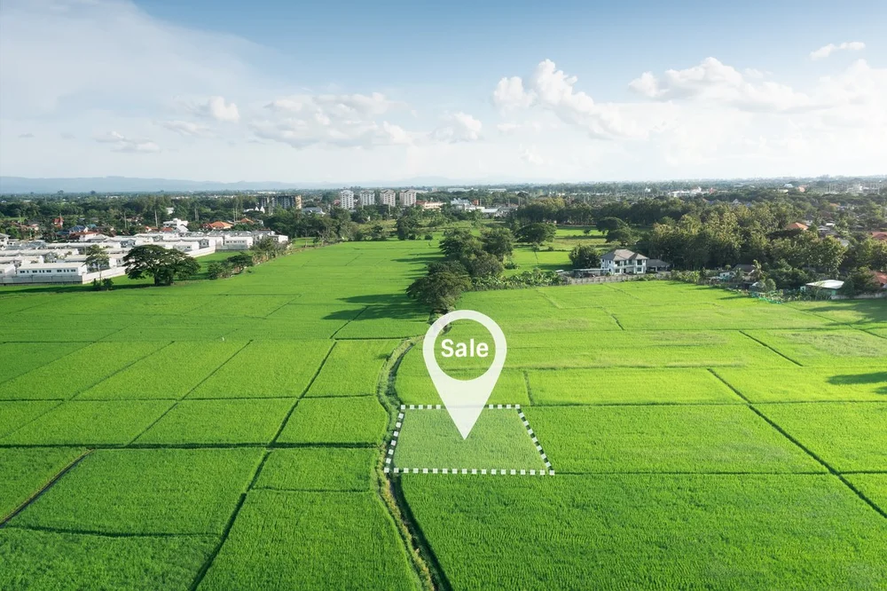 How to Start a Cattle Farm