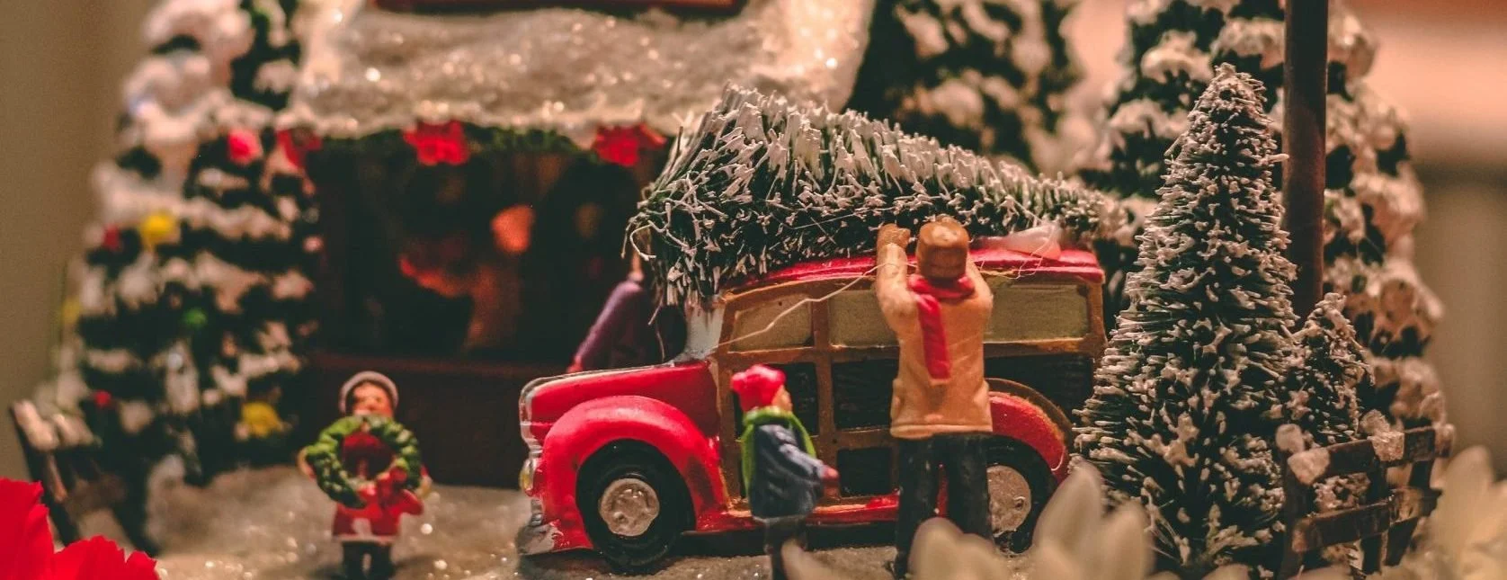 4 Christmas Tree Farms for Last-Minute Shopping
