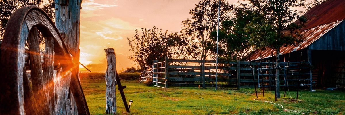 TexFest and Historic Films Help to Celebrate Texas Independence Day