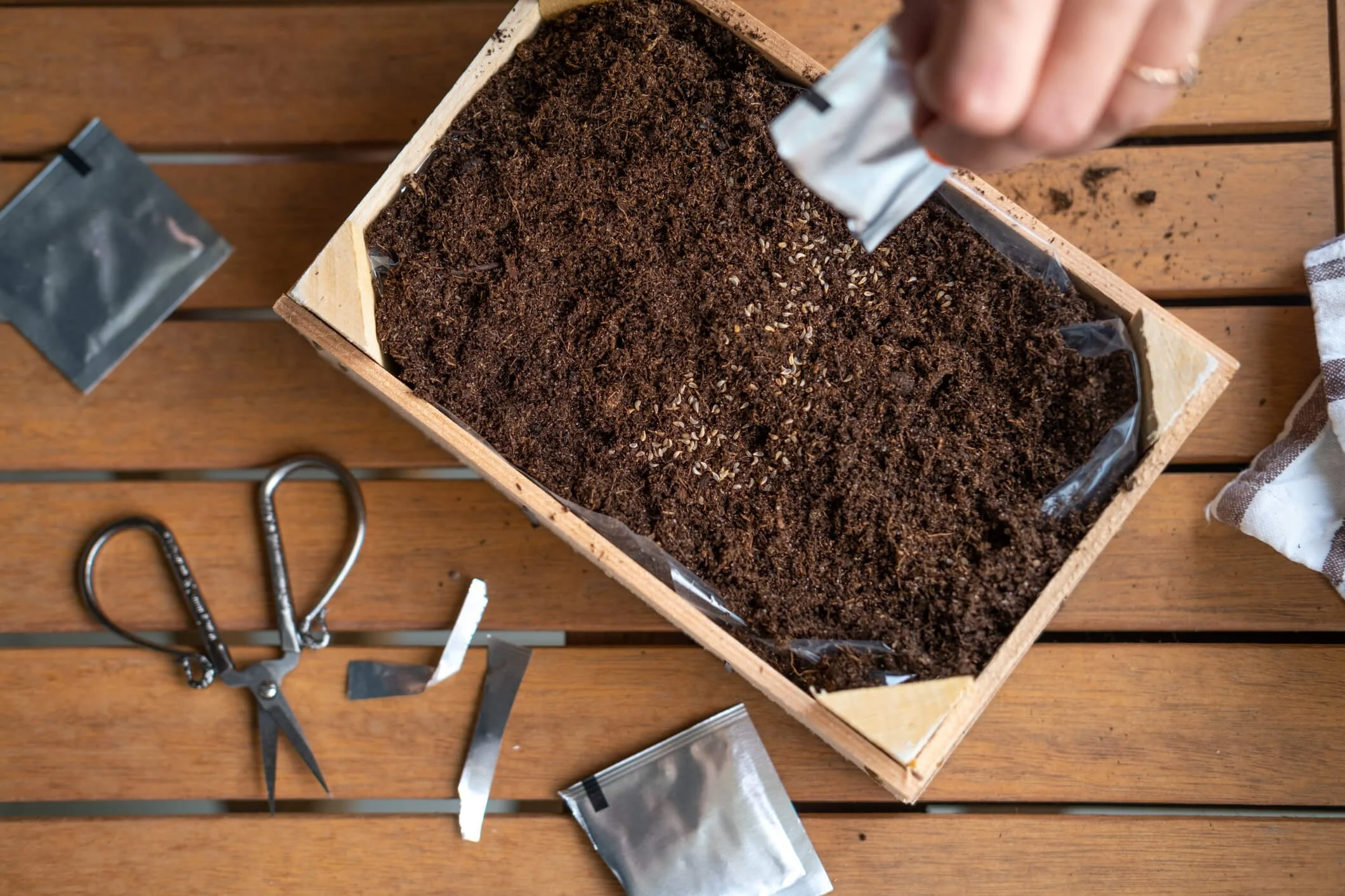 Growing Chives for Your Home Garden