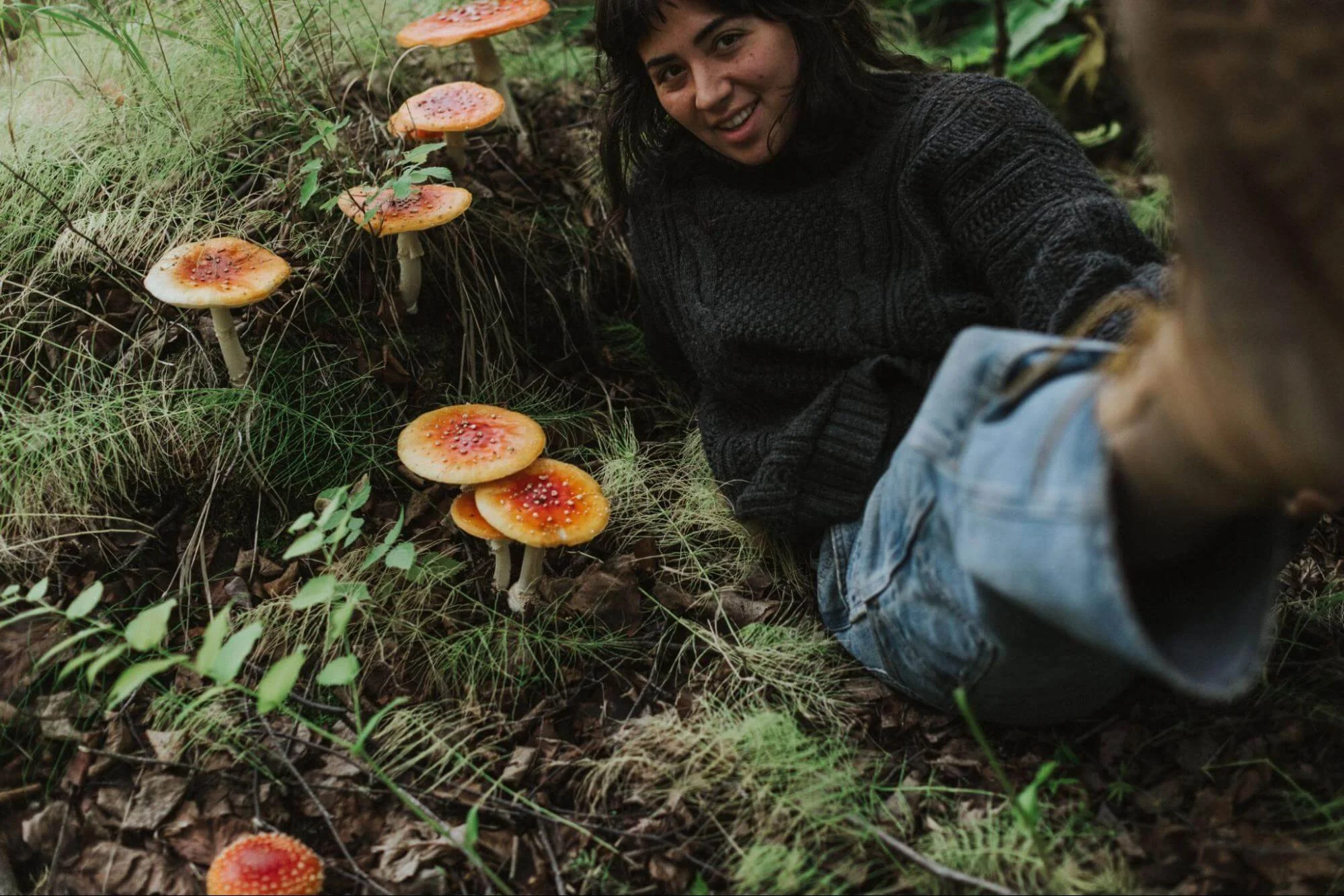 A Guide to Foraging in Texas | Learn Where and What to Pick in the Lone ...