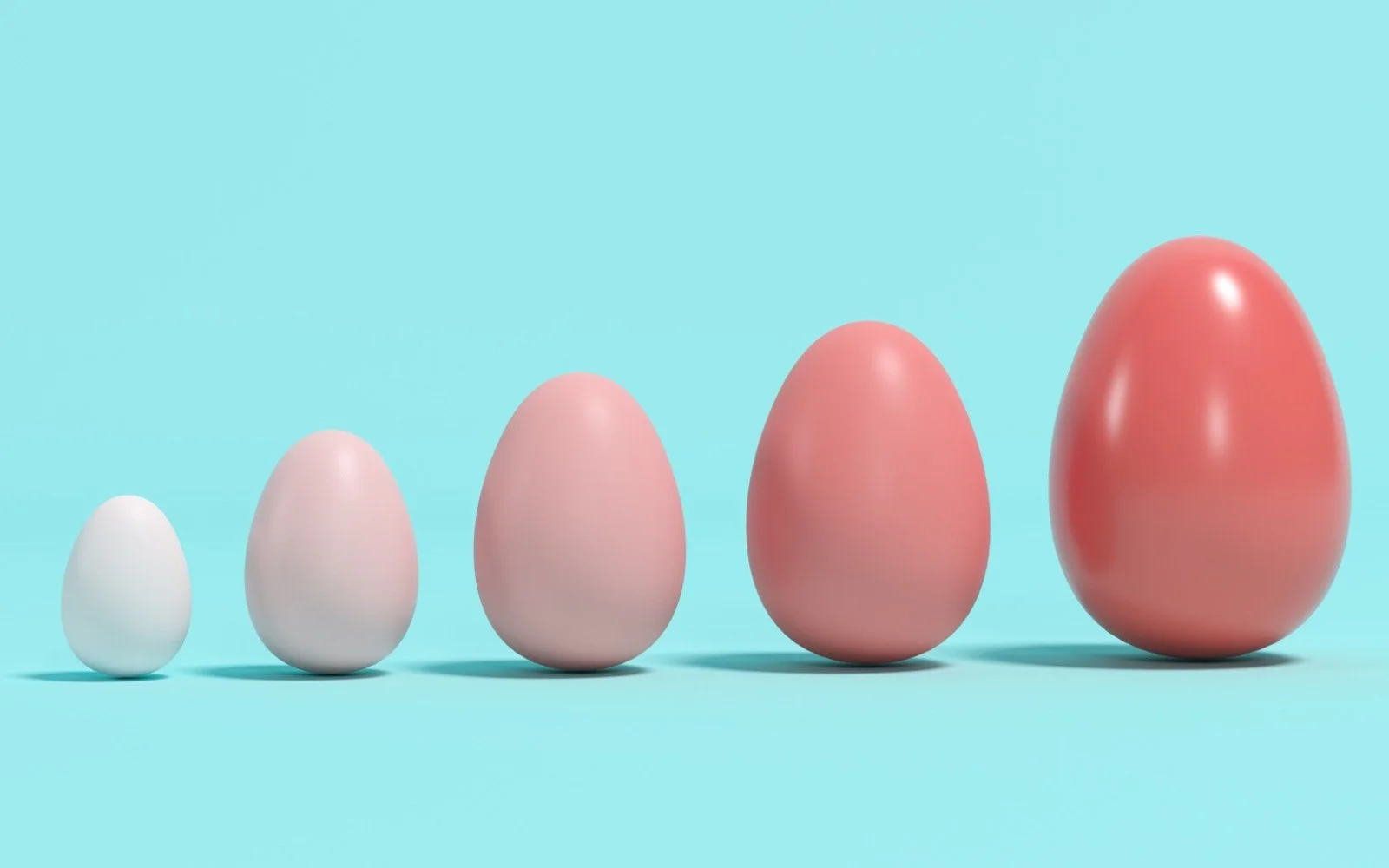 How To Shop for Eggs in Texas A Lesson Learned