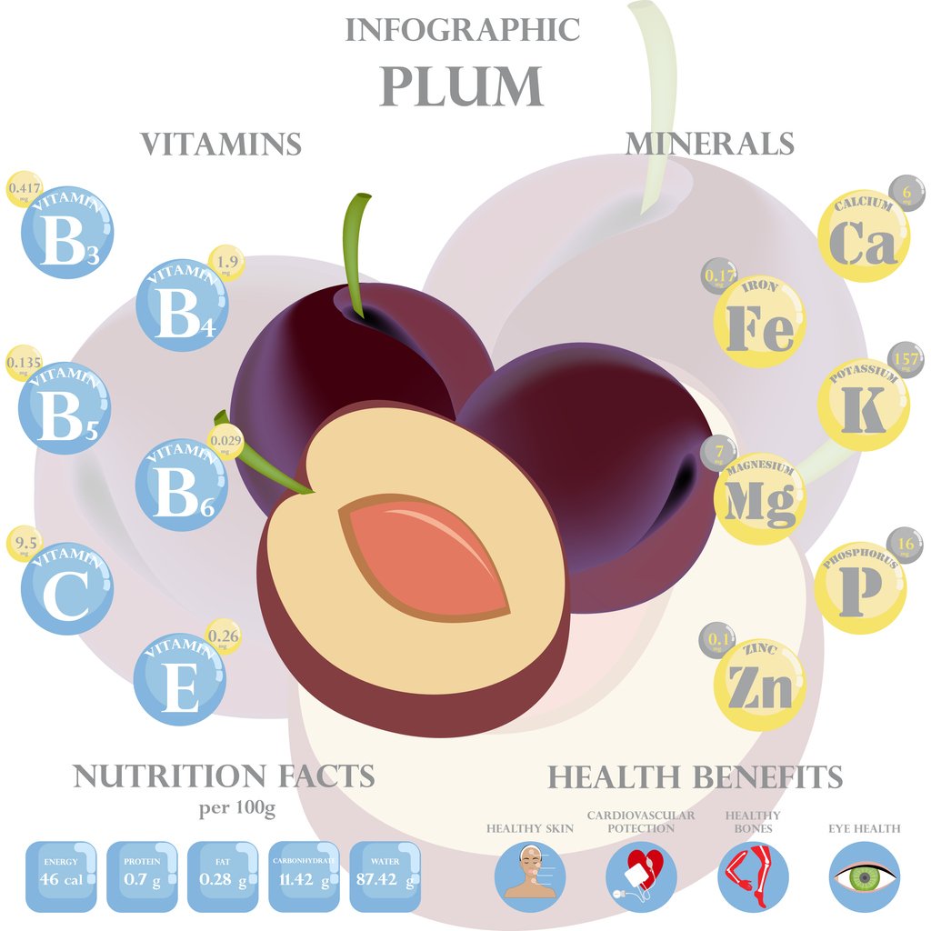 Plums – Exploring Health Benefits, Varieties, and Recipes