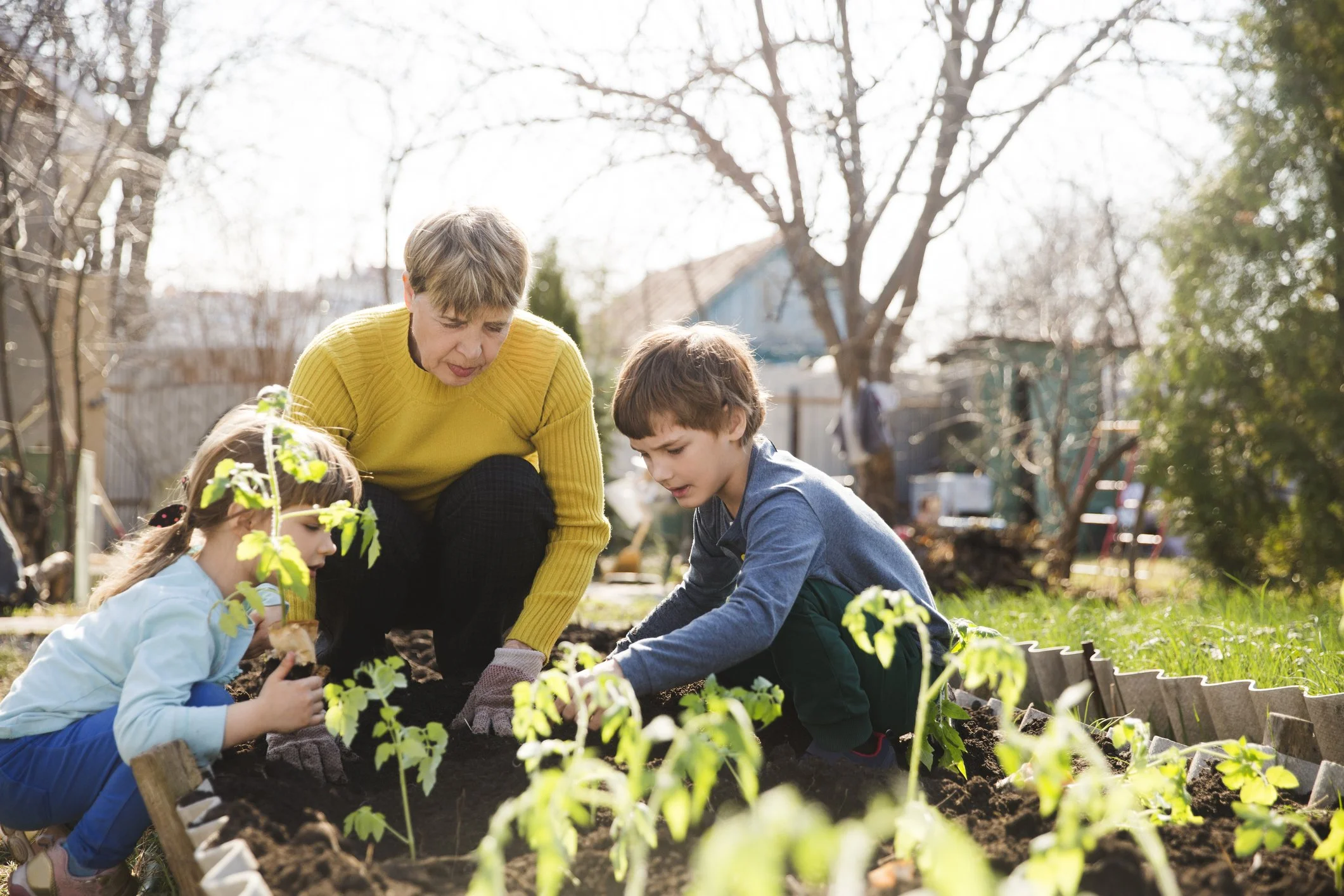 Growing The Perfect COVID-19 ‘Victory Garden’