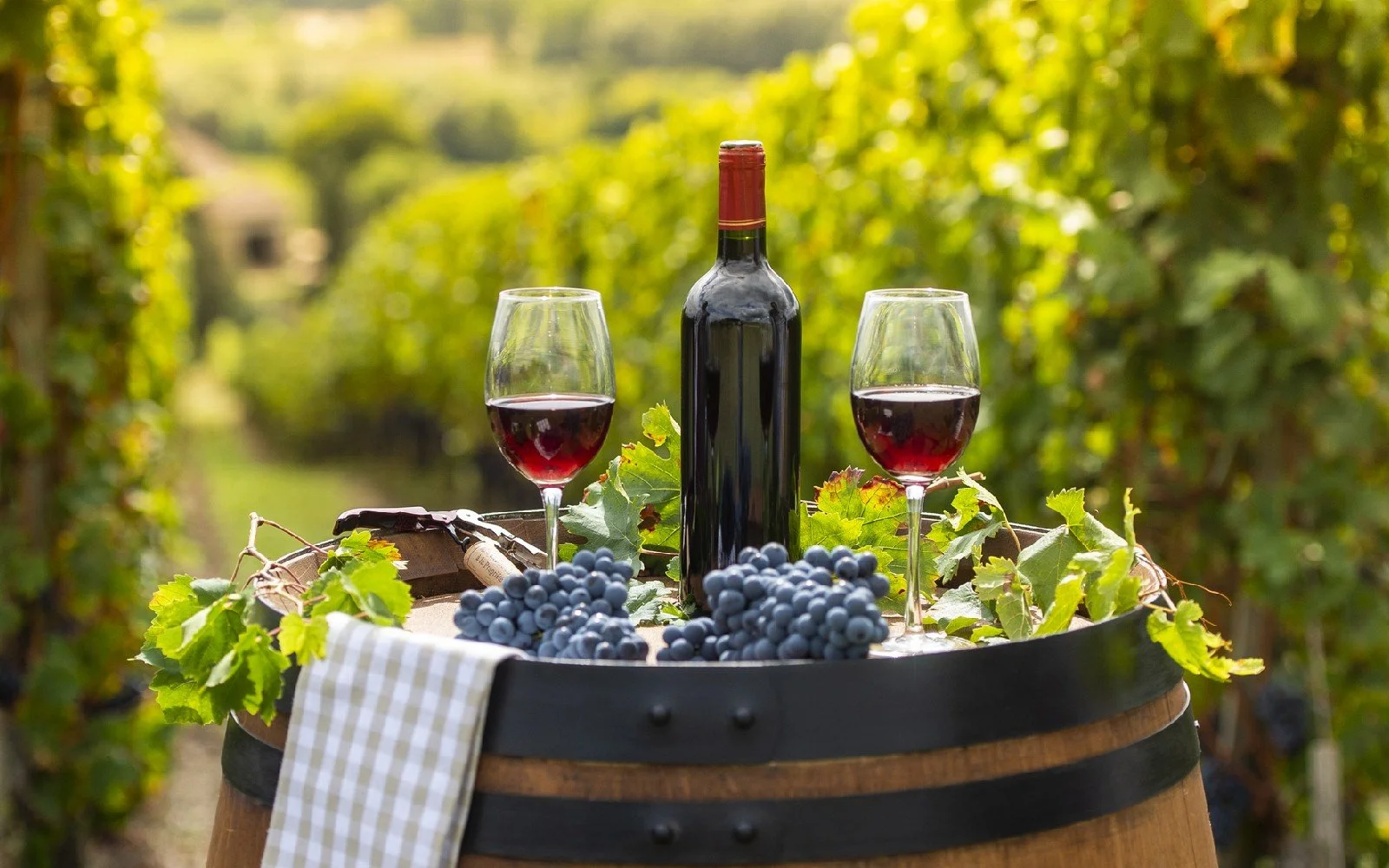 Scenic Cooke County Wineries You Have to Visit