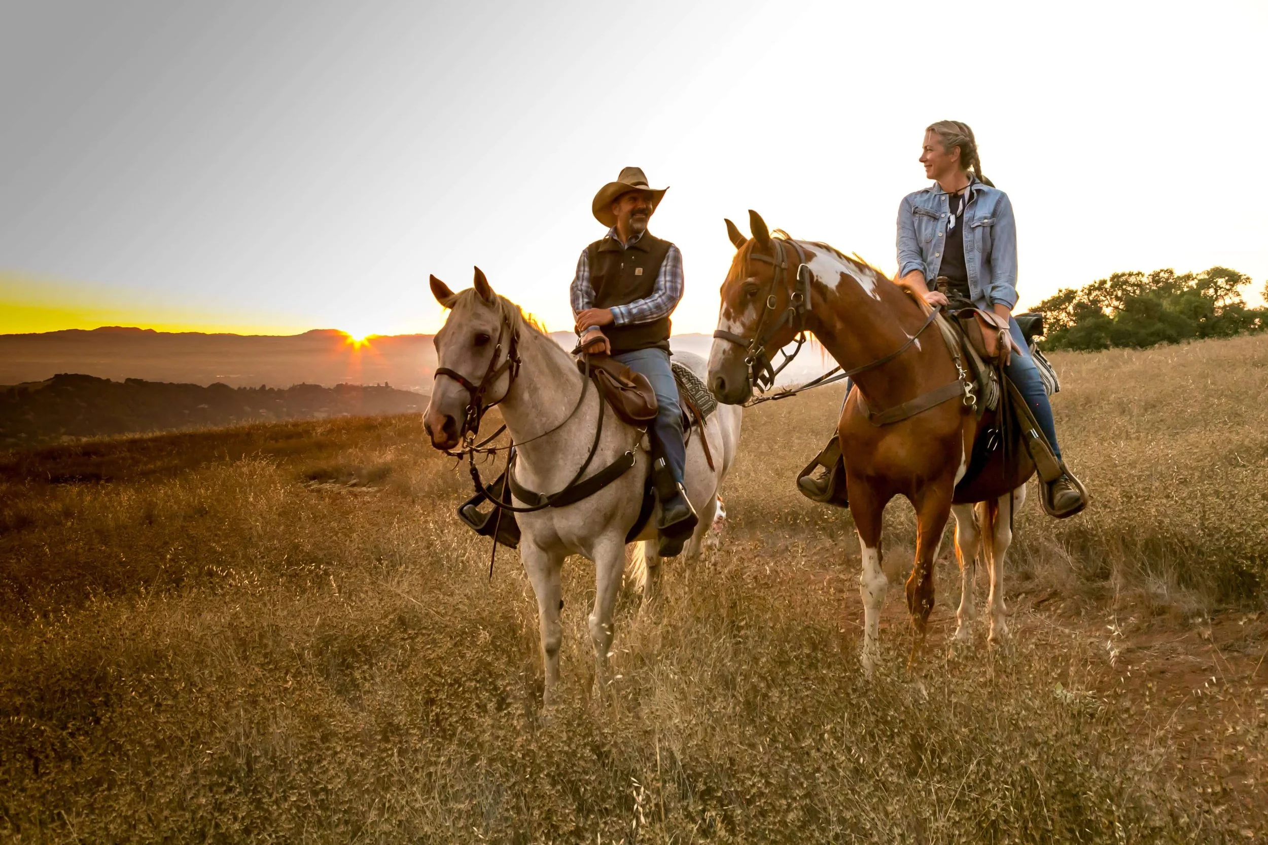 Love Trails The Ultimate Guide to Texas Ranches for a Dreamy Valentine