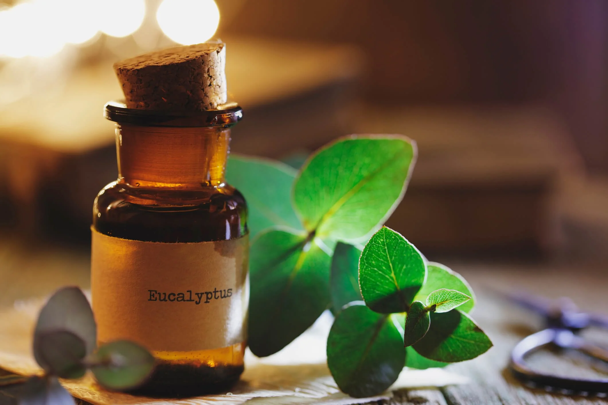 DIY Essential Oils: Step-by-Step Guide for Crafting Natural Oils at Home