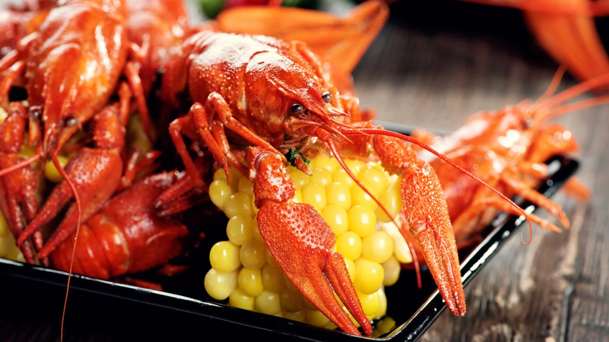 Your Bucket List for the Best Food in Houston