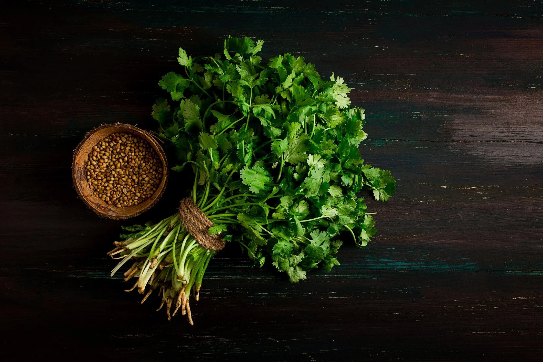 A Seasonal Guide on Cilantro and Coriander for Herb Lovers Uncover