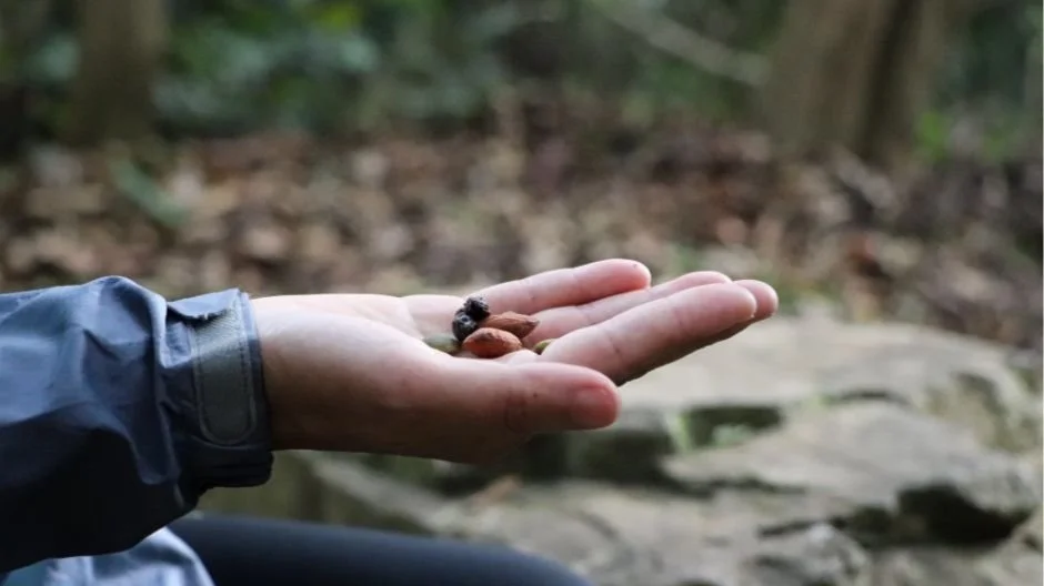 A Texas Treasure Hunt