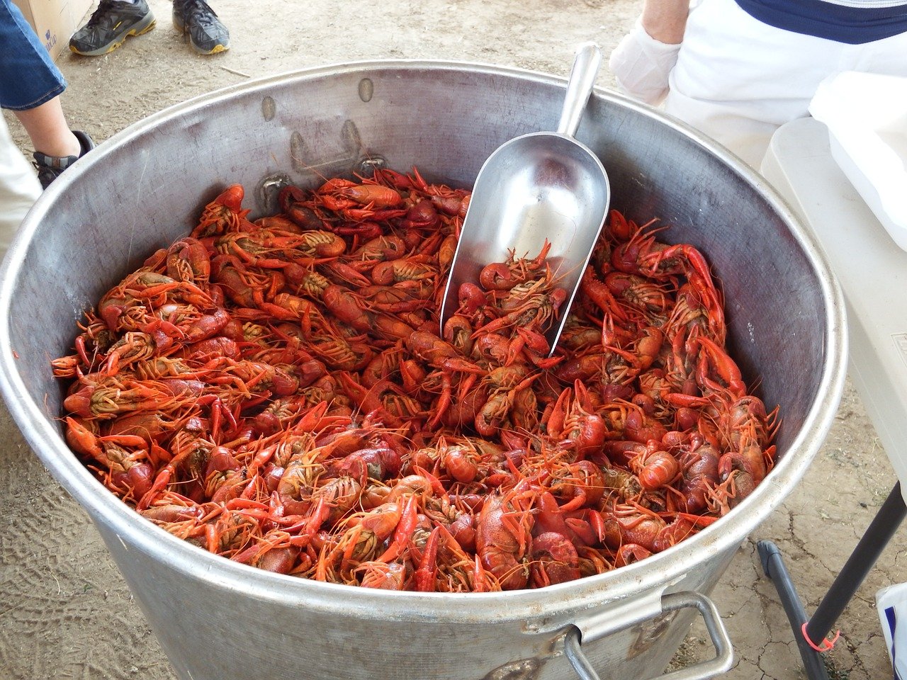 2023 Texas Crawfish Festivals Celebrate the Cajun Culture