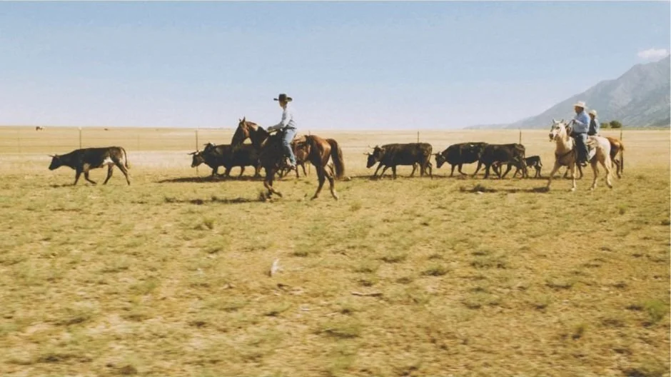 Explore 10 of the Biggest Ranches in Texas Come Visit Texas