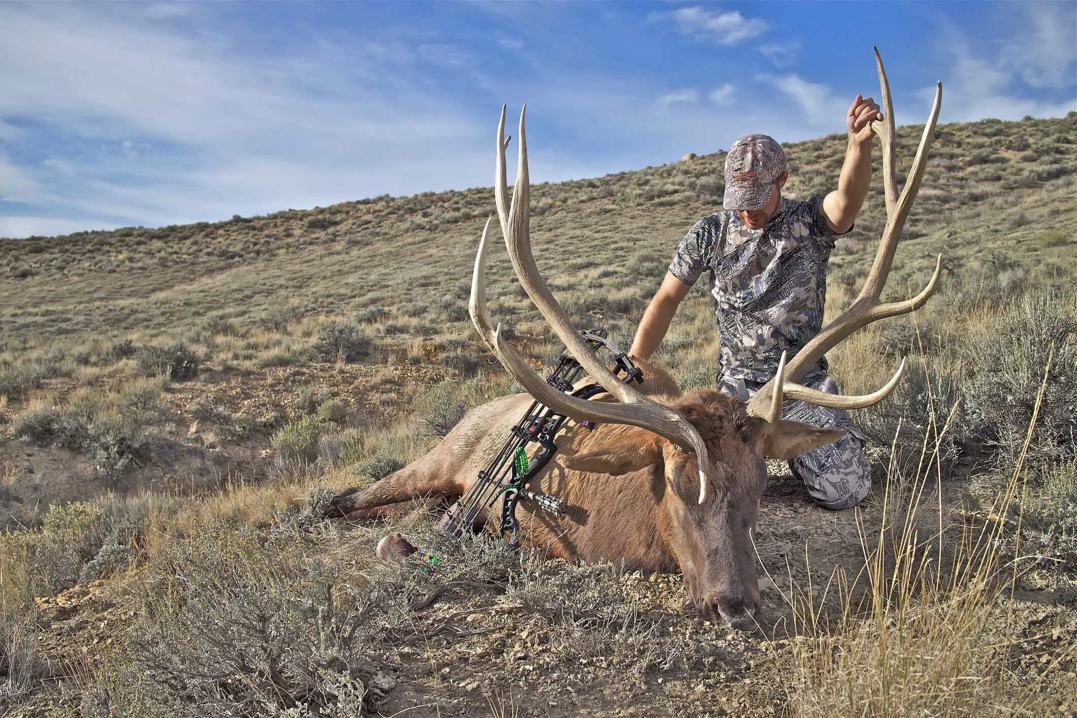 The Texas Bow Hunting Guide Get Ready For an Exciting Adventure