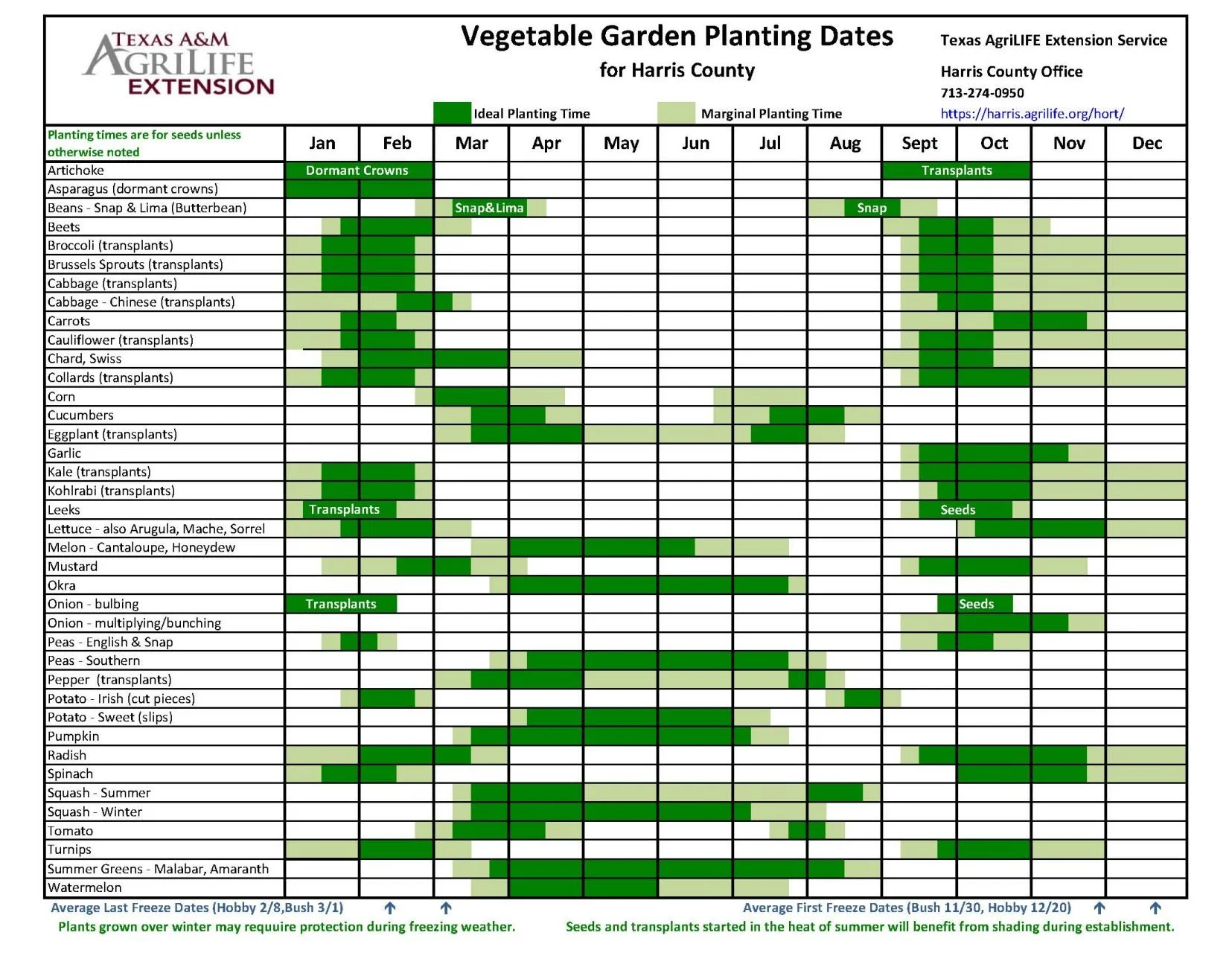 Planning A Vegetable Garden - The Step By Step Guide | Garden Planner -  TexasRealFood