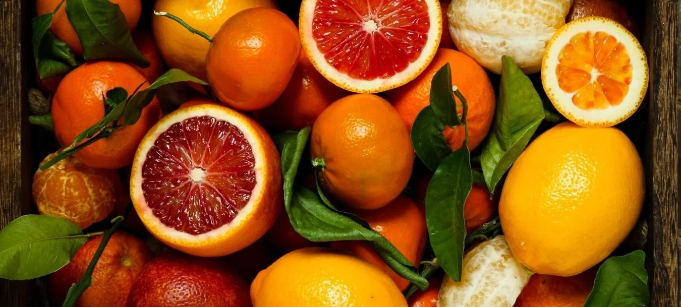 6 Texas Citrus Farms for the Best Oranges & Grapefruits 20222023