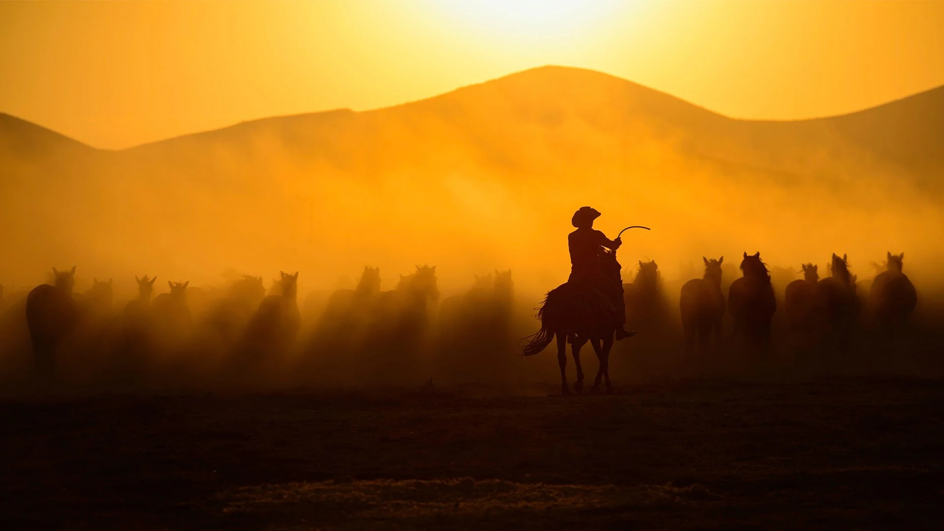 Our Community: The Black Cowboys of Texas