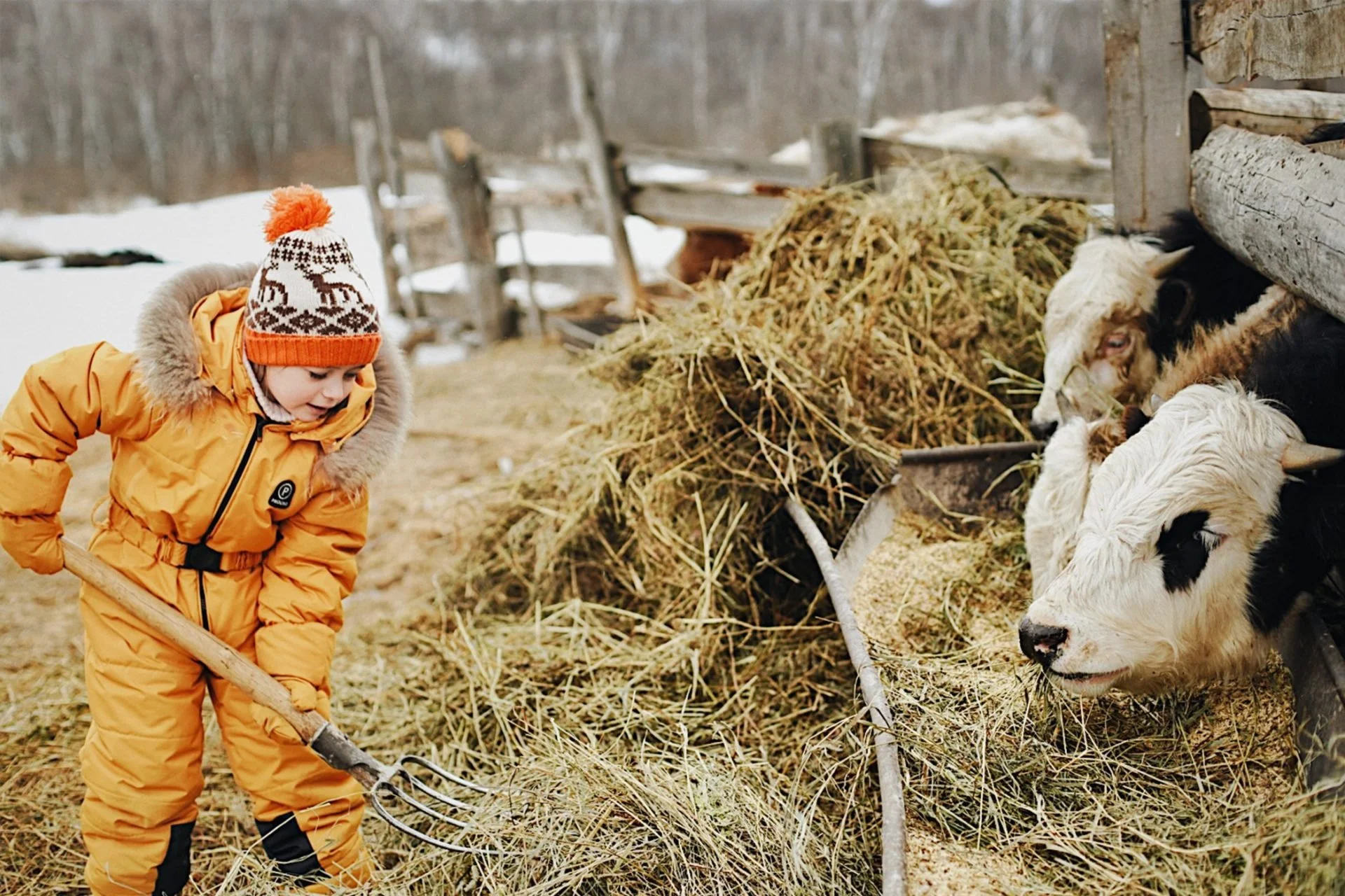 The Modern Farmer Blog: Getting Down and Dirty, But Loving It