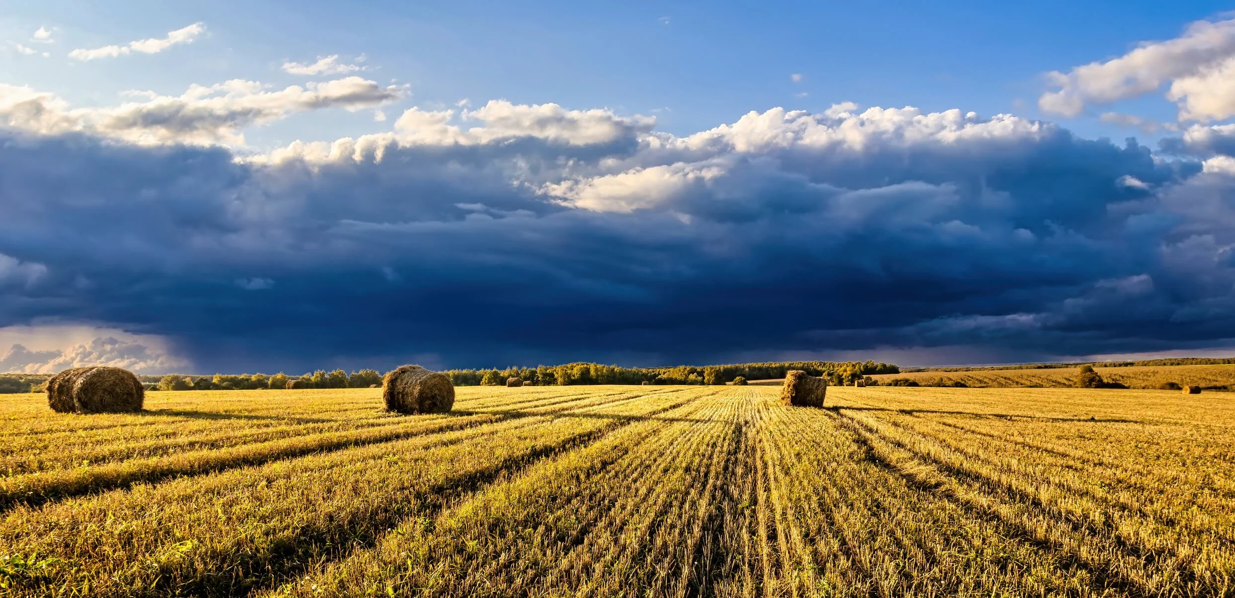 What Is Biodynamic Farming?