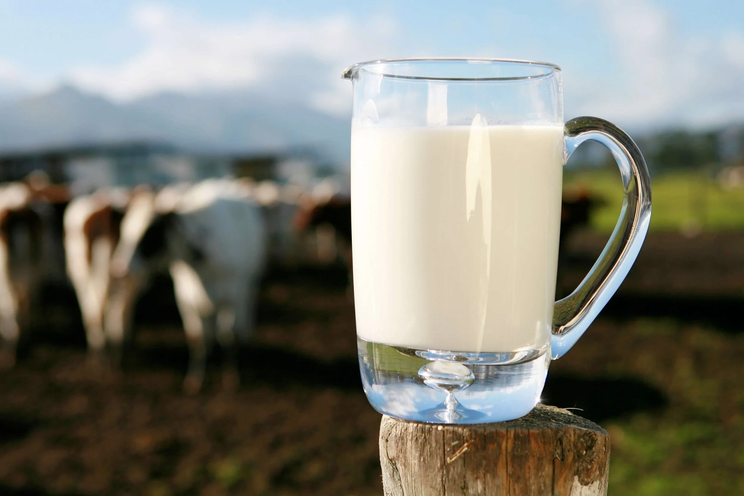 Raw Milk A Comprehensive Guide Get the Facts!