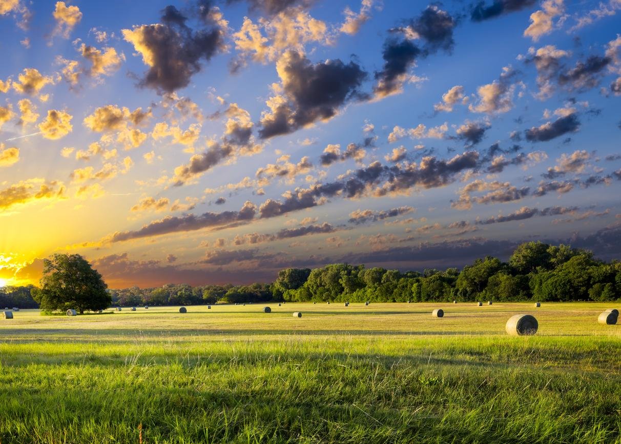 How to Buy Agricultural Land in Texas | A Comprehensive Guide