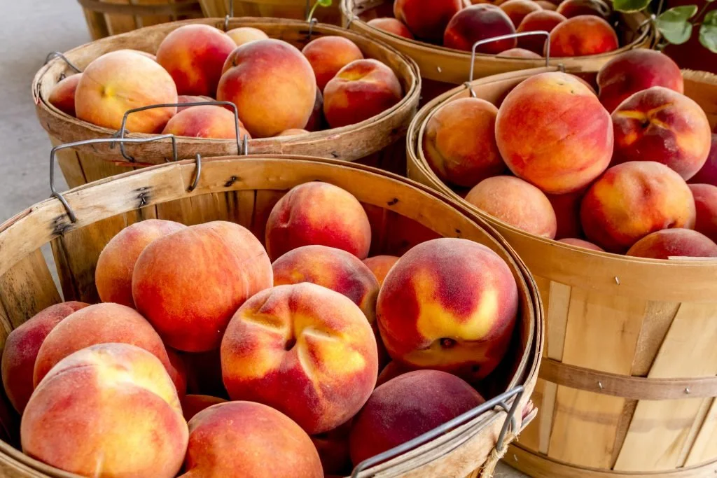 Big, Juicy, Lovely Peaches Get'em Before They're Gone!