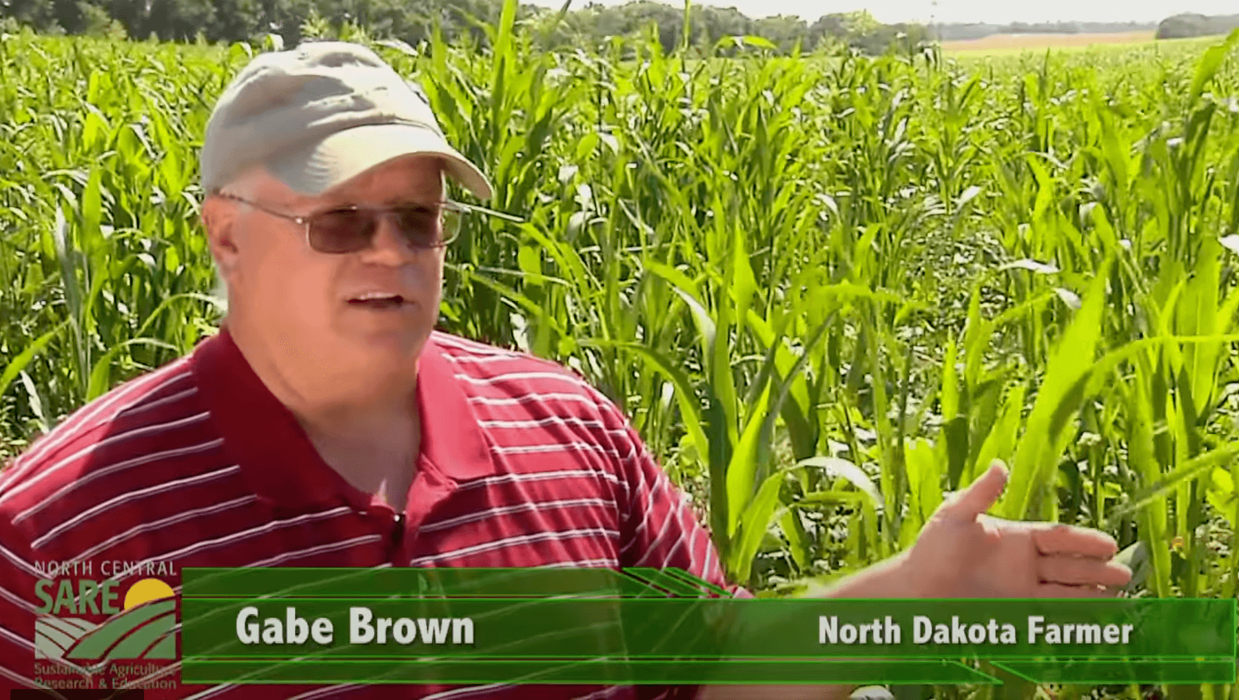 Planting the Seeds of Sustainability