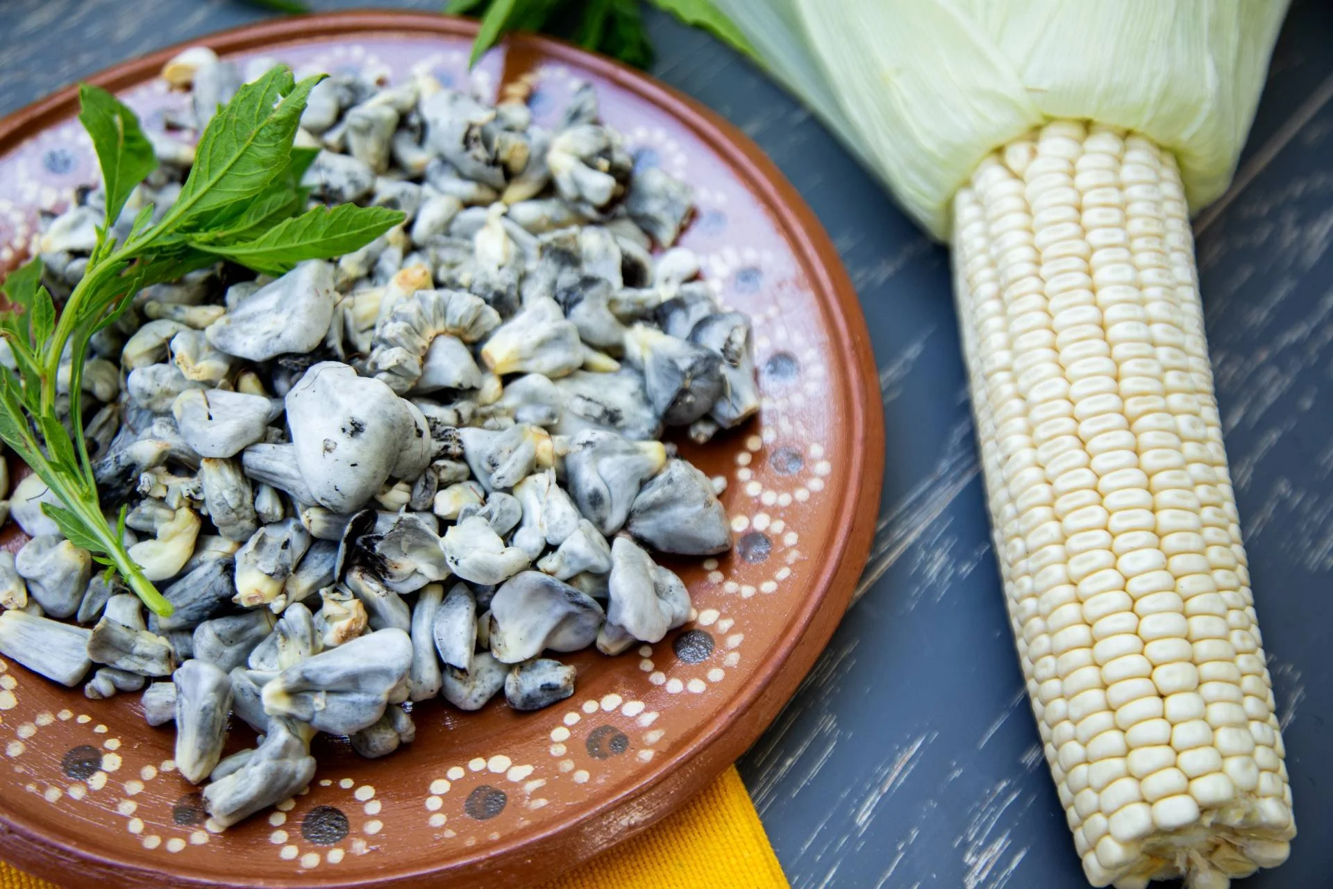 Discovering Huitlacoche The Unique Mexican Culinary Delicacy