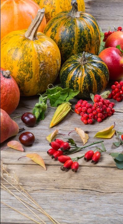 Weekly Farmers Market Updates Inside - November 5